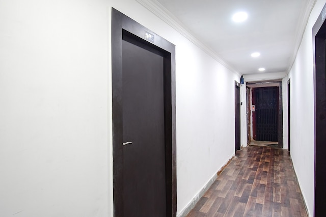 ファブエクスプレス ロイヤル オーク