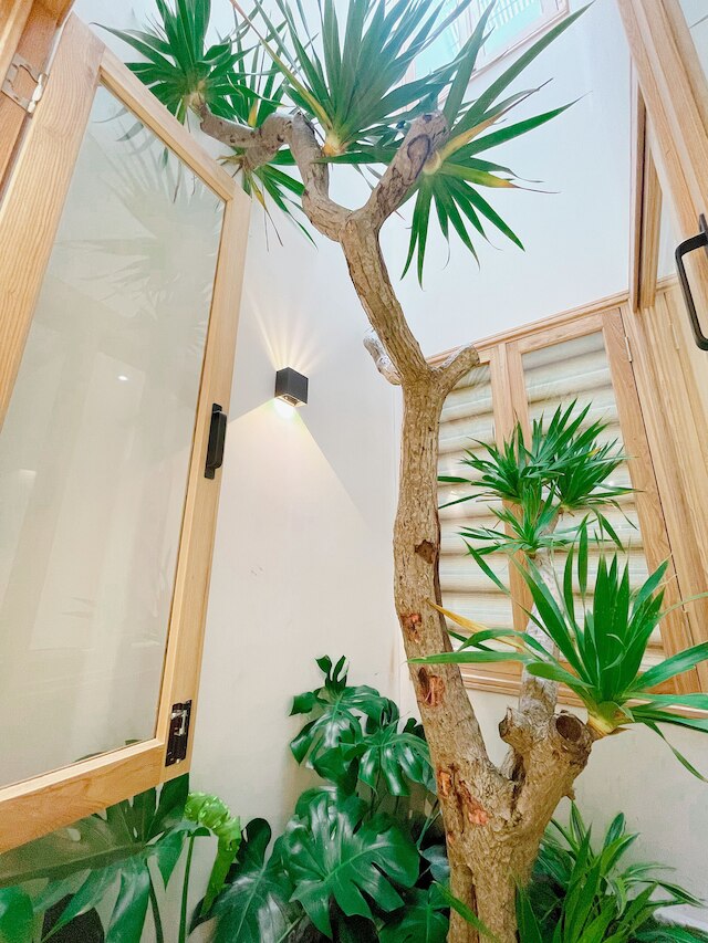 バフアパートメント - マイケビーチまで徒歩5分