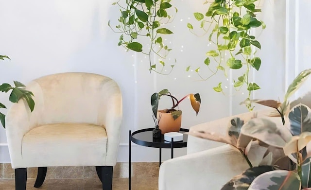 アイビーラグジュアリーホテル&アパート