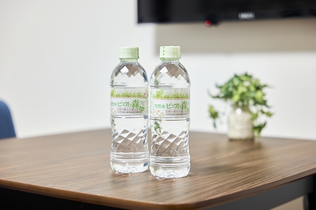 ESLEAD HOTEL Namba Ebisu West