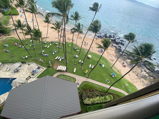 マナ カイ 803 イン キヘイ