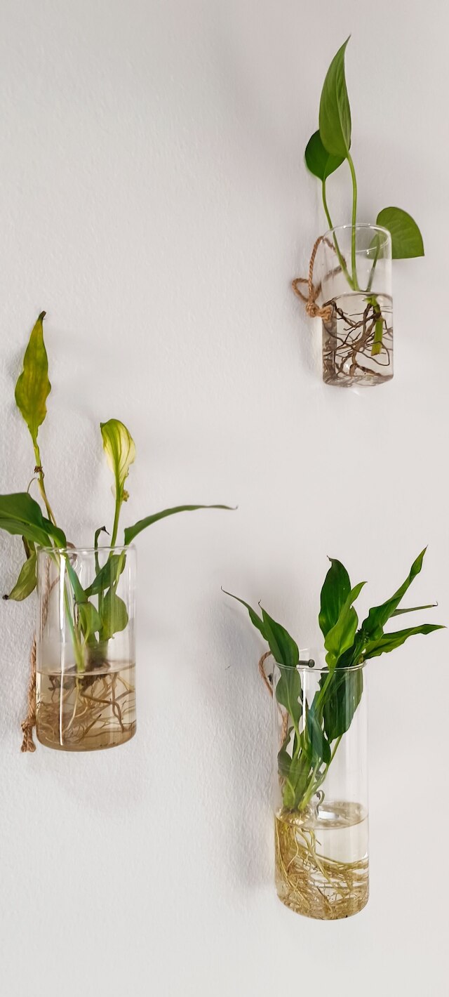 アペイロン・アクロポリス・スイーツ