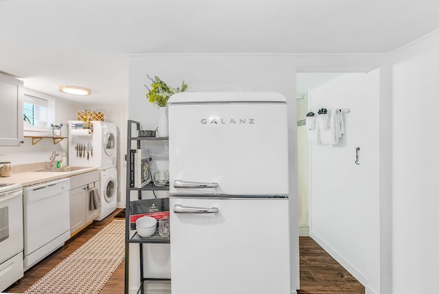 ライラック・イン・ロウ