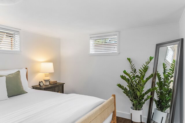 ライラック・イン・ロウ