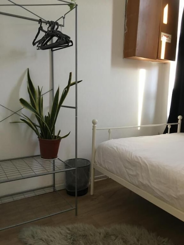 ジャングルジャファホステル年齢18から45