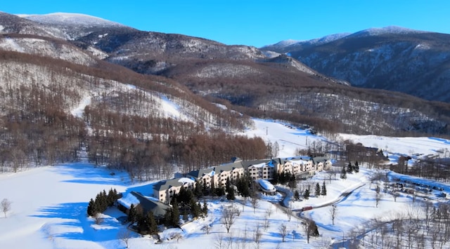 エンリゾート グランデコホテル