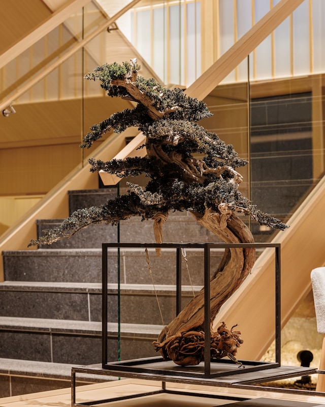 ダブルツリー by ヒルトン京都東山