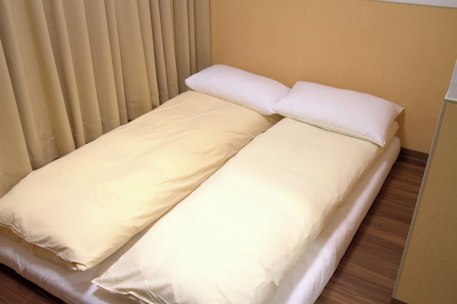 上野之家 Vip 家庭房