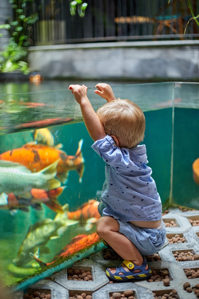 ヴァーナルホームブティックダナンホテル