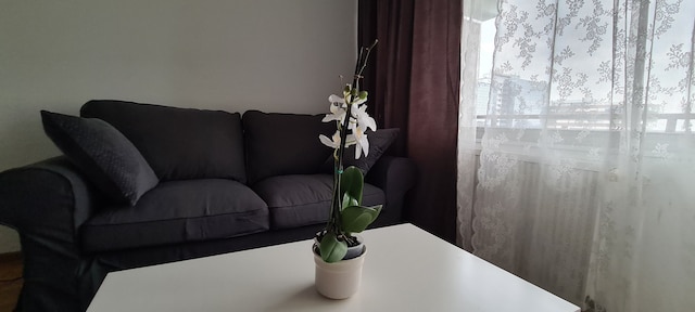 グッド アンド ナイトの特徴