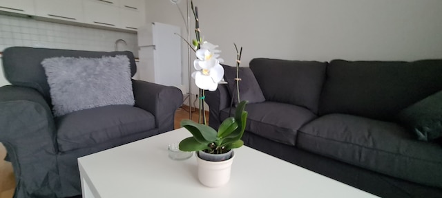 グッド アンド ナイトの特徴