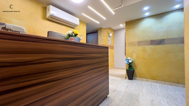 セリアピラミッドビューイン