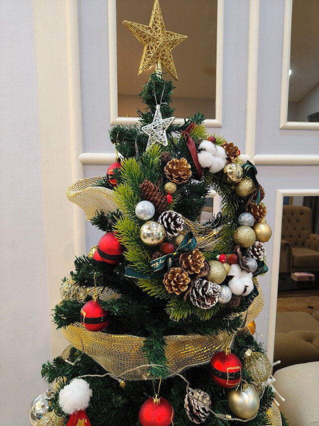 6ルームコーナーバンガローPJガーデンウェディング