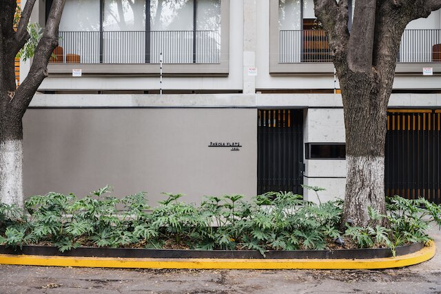 パンチャ フラッツ