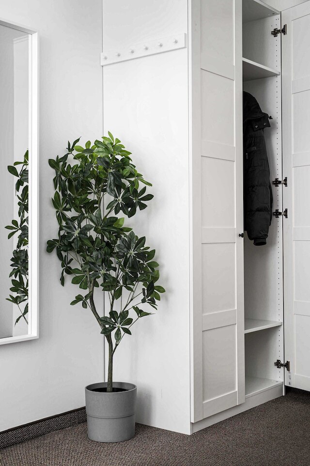 ベッドルーズ・チャプスキー5 - オールド・タウン