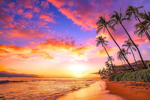 カアナパリ ロイヤル バイ KBM