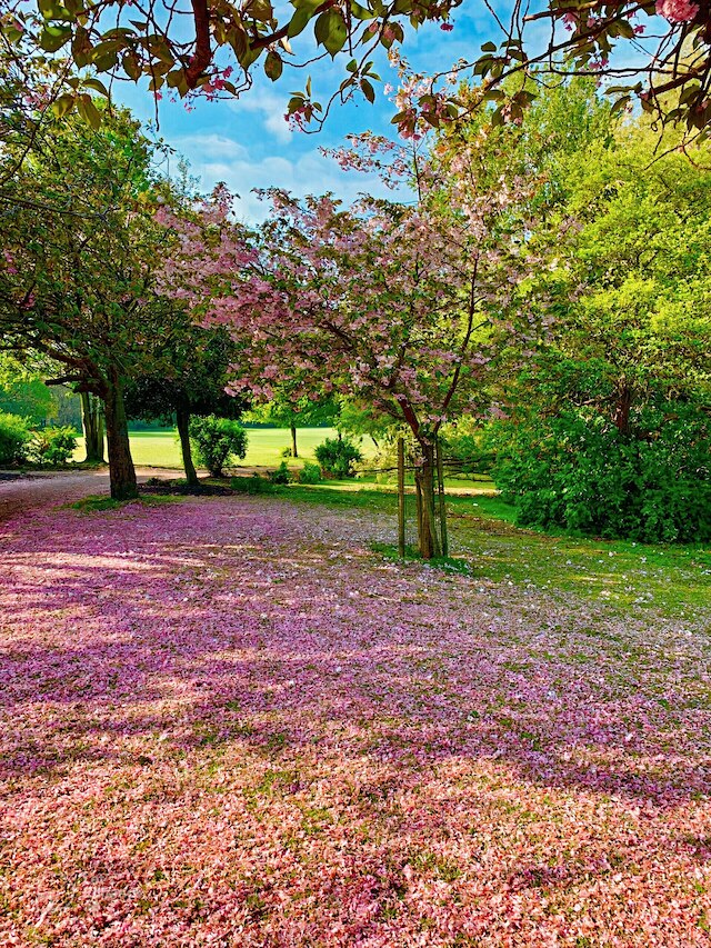 スタイリッシュセルフケータリングアパートメント