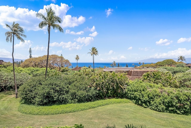 カアナパリ プランテーション 53