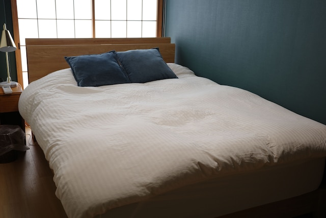 継〈TSUNAGU〉 空蝉〈Utsusemi〉/帚木〈Hahakigi〉