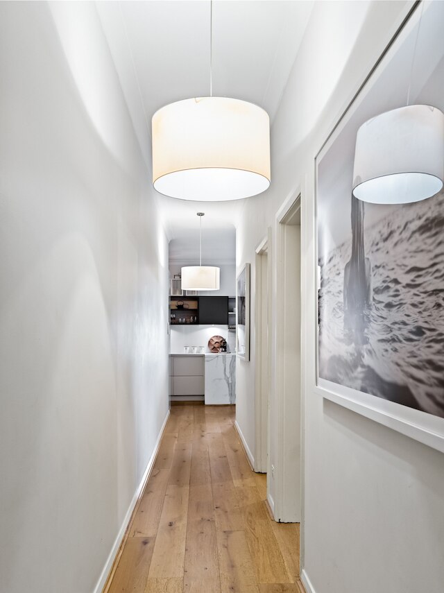 パームビューコレクティブ