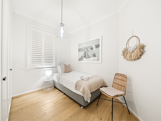 パームビューコレクティブ