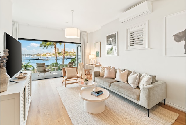 パームビューコレクティブ