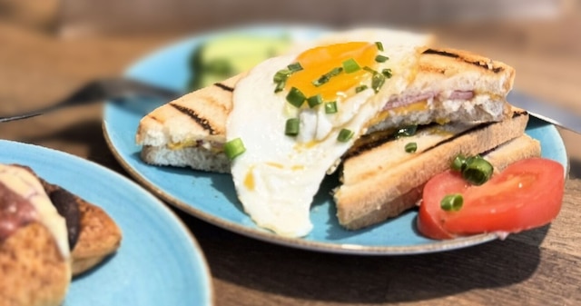 ユニット ミニスタジオ ビトワ ワルシャフスキ