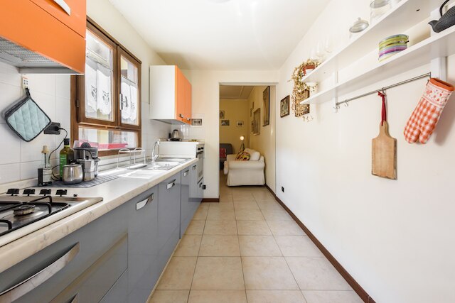 サンタ クローチェズ ヴィンテージ バイ メガ