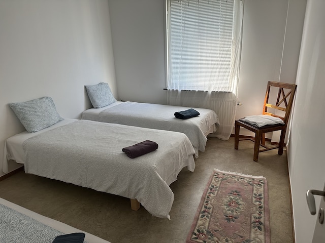 3 ルーム アパートメント イン ソルナ