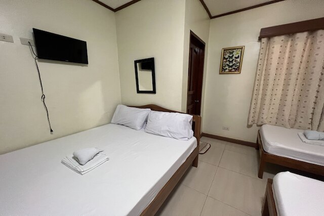 テンザイ ホームステイ