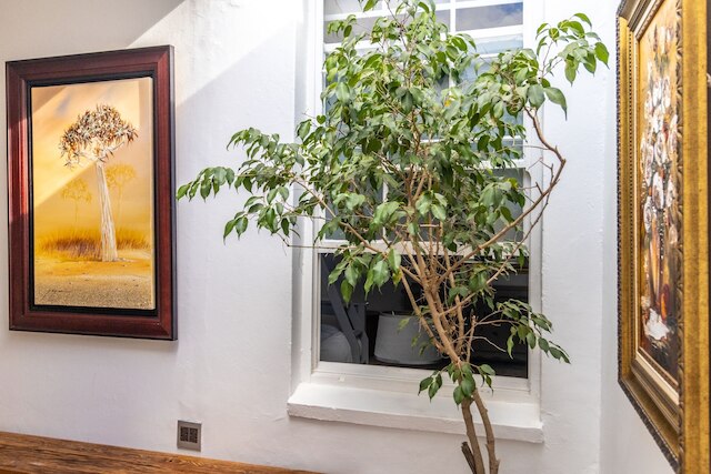 サンセット・ファーム・ステレンボッシュ