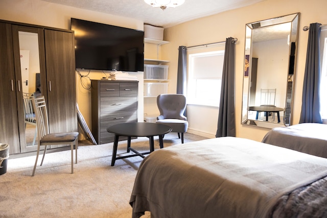 コージープレース