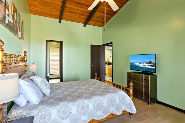 ワルア オアシス