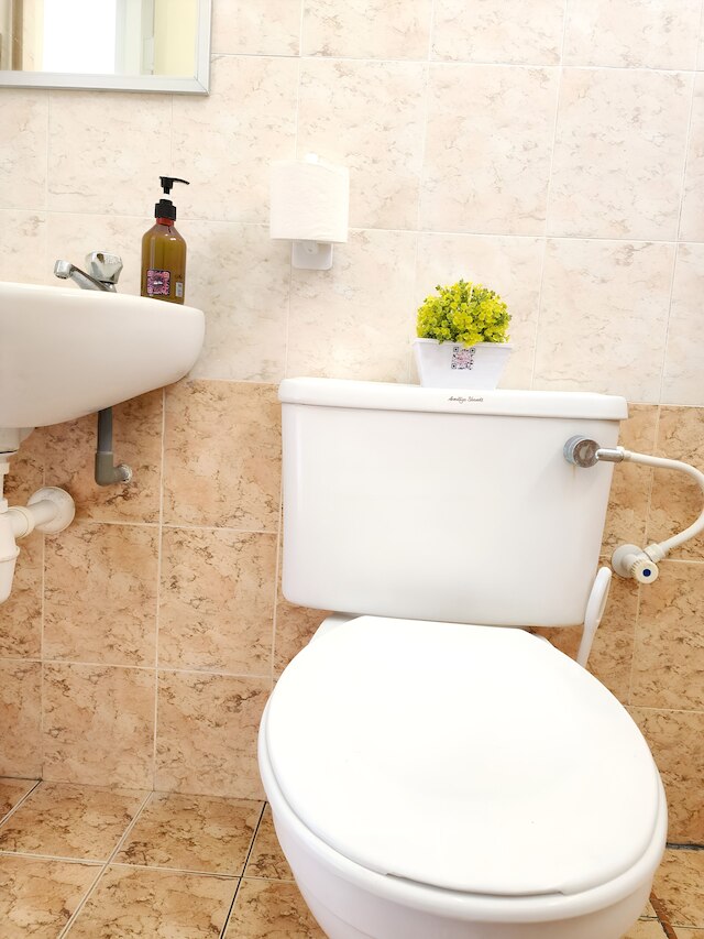 イクソラコリビングライフスタイルホームステイ