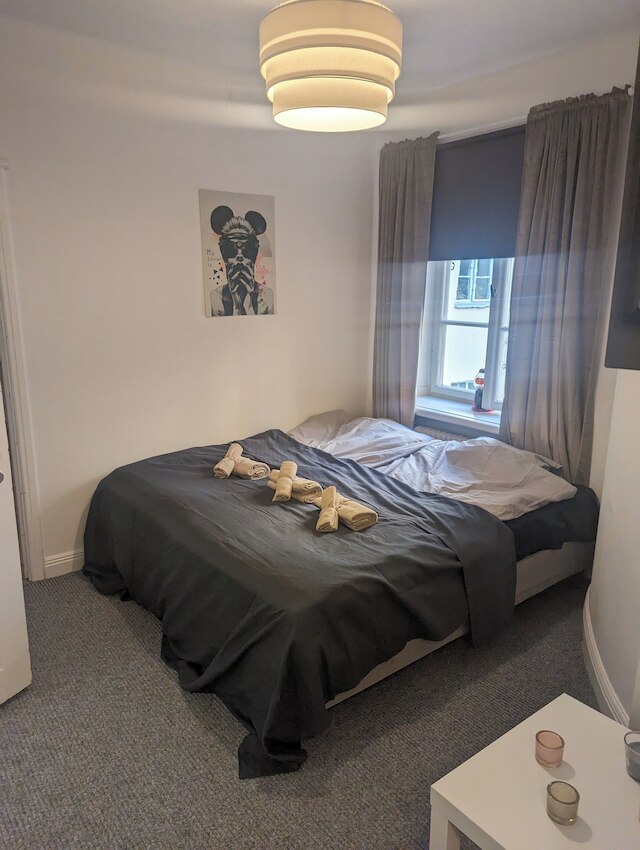 ラージ スタイリッシュ アパートメント イン セントラル ストックホルム