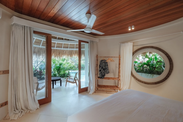 ボーディ ビンギン