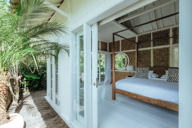 ボーディ ビンギン