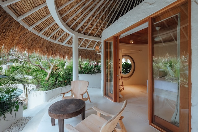 ボーディ ビンギン