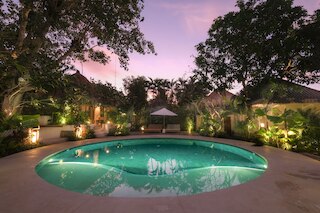 ボーディ ビンギン