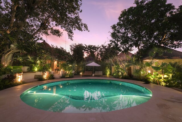 ボーディ ビンギン