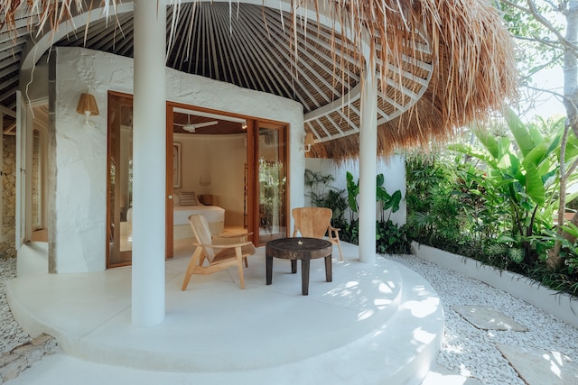 ボーディ ビンギン