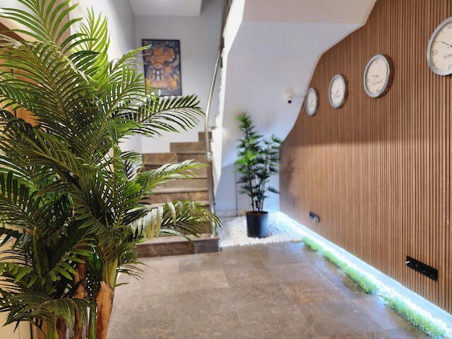 ドリームハウス