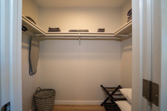 モダン&トロピカル・オーシャンサイド・ビスタス