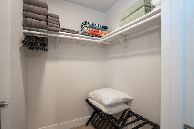 エアリー・コースタル・ドリーム・ビスタス