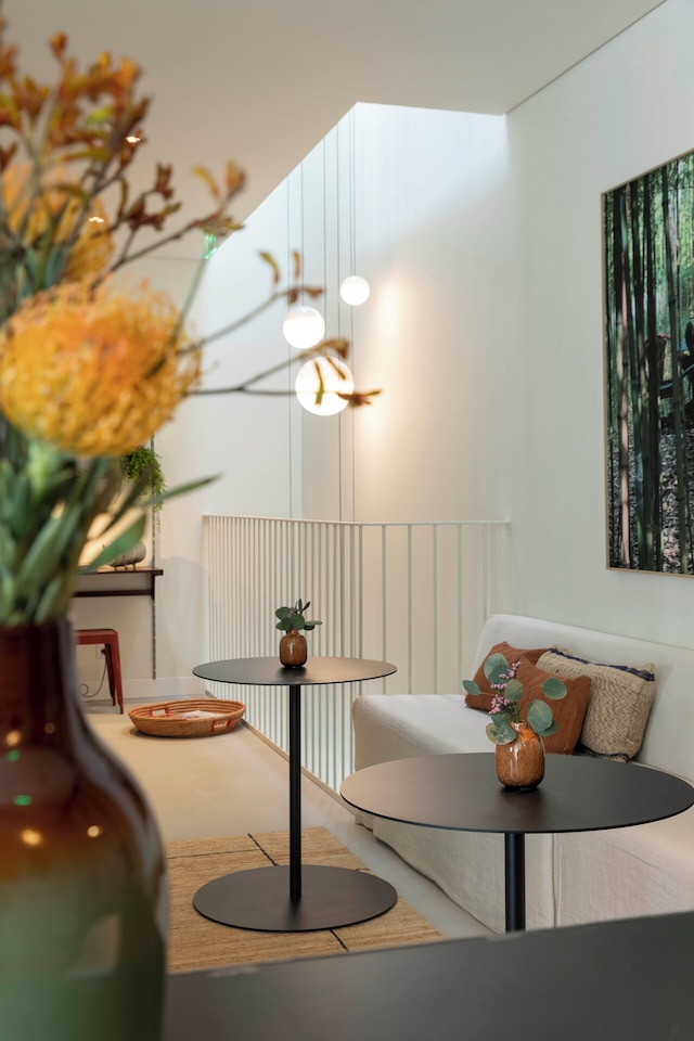 パティオ ド チィホョロ