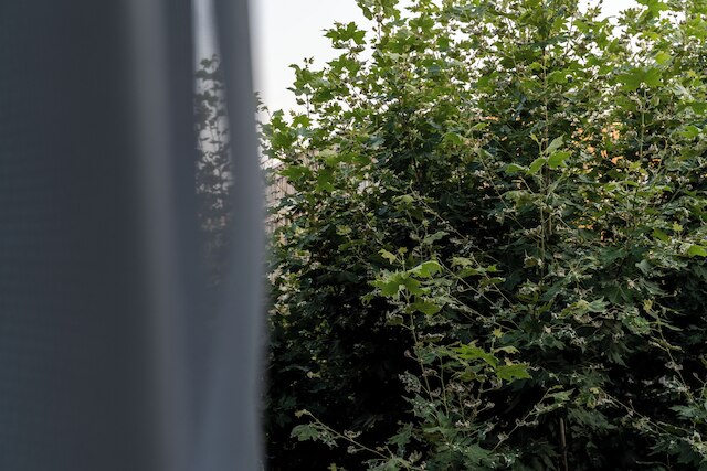 フリニチョウ 18 バイ アテネ コンセプト レジデンス