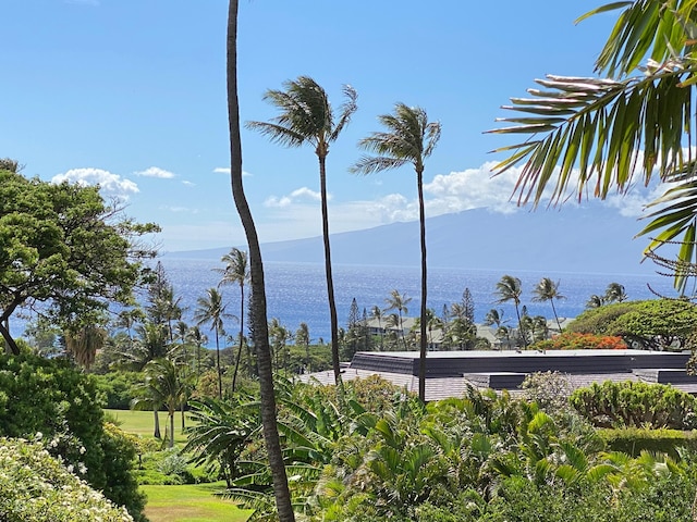 カアナパリ プランテーション 57