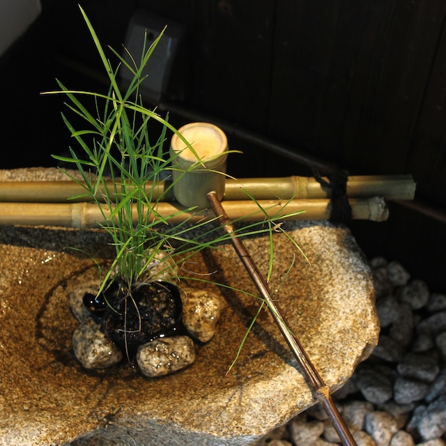 清水びろうど庵