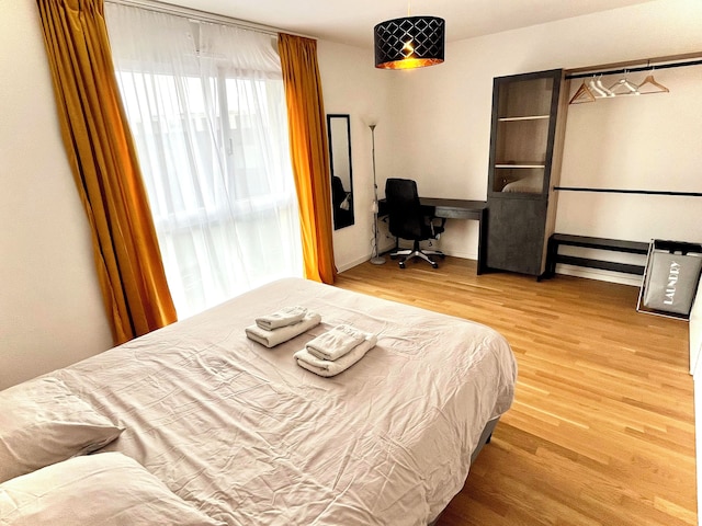 ケープ・ホームズ・サン=シュルピス