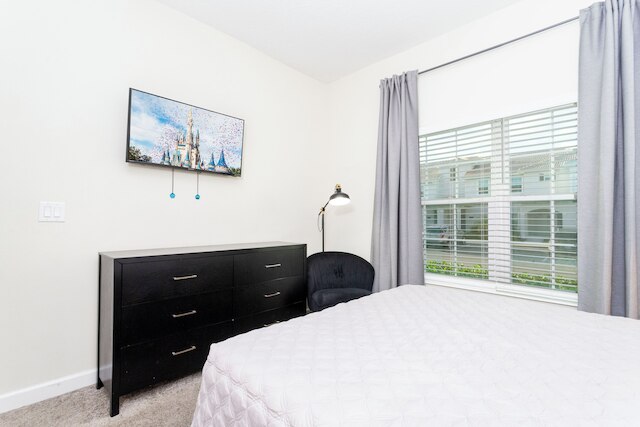 マグニフィセント 5 ベド W プール ストーリー レイク 4800